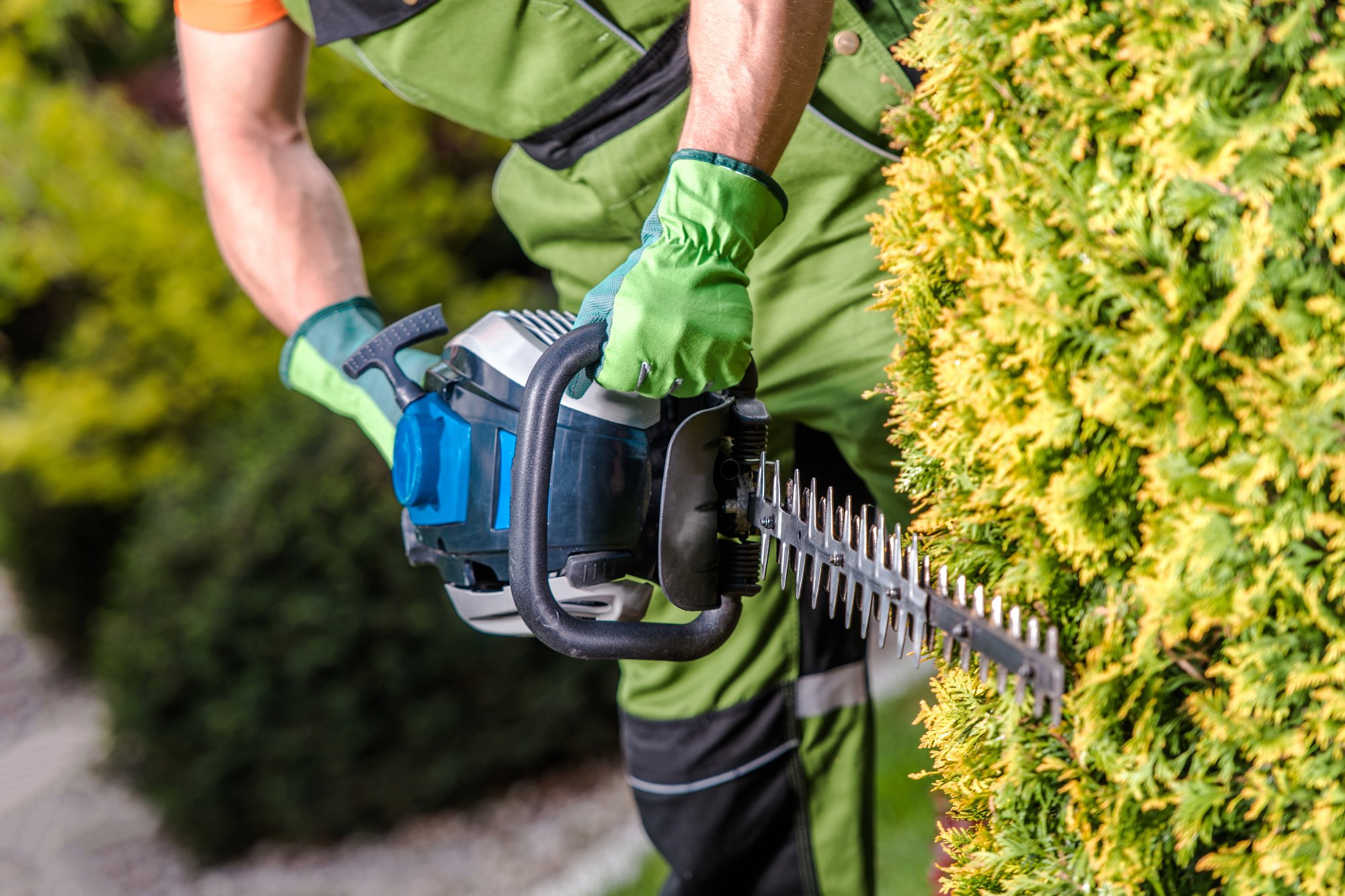 Gardener Shaping Garden Trees